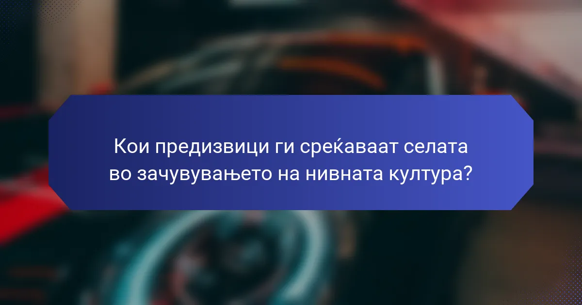 Кои предизвици ги среќаваат селата во зачувувањето на нивната култура?
