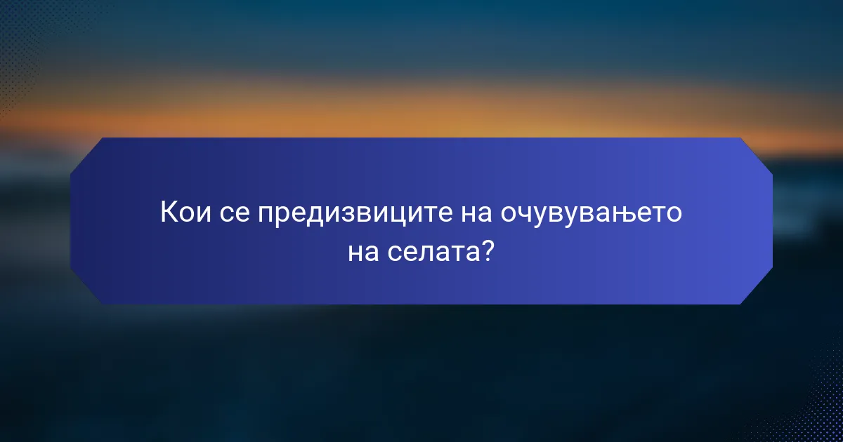 Кои се предизвиците на очувувањето на селата?